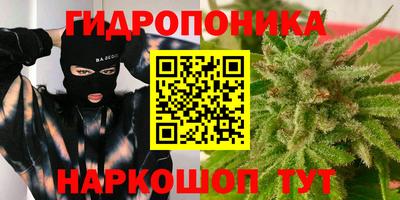 прущие грибы Краснодар
