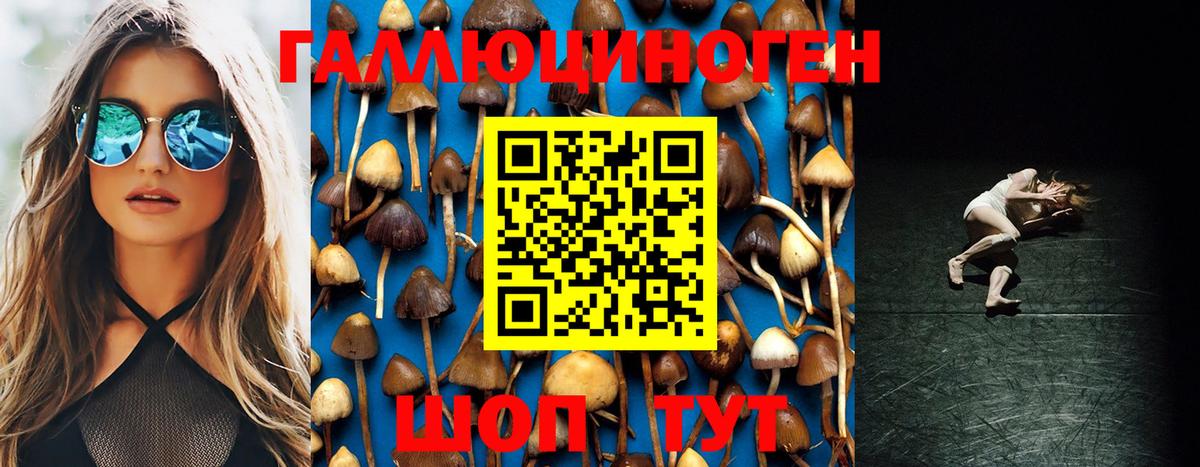 Галлюциногенные грибы Cubensis Улан-Удэ