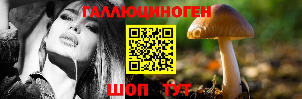 Улан-Удэ  где продают наркотики  Вход с VPN  Галлюциногенные грибы мицелий  Псилоцибиновые грибы мухоморы 
